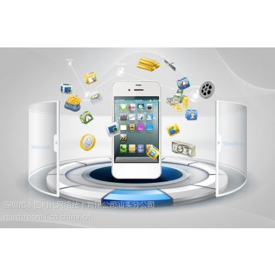 汕頭網站建設與設計專家 打造誠信通旺鋪，賦能企業數字化發展